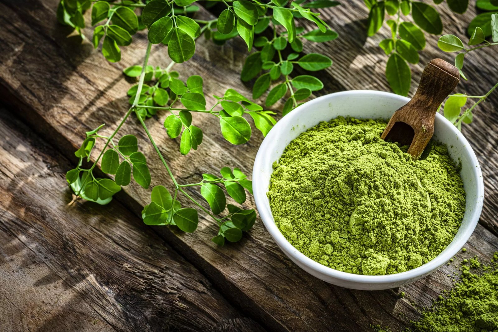 Moringa Powder Benefits
