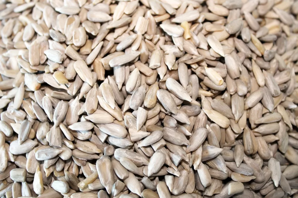 Sun Flower Seeds Benefits